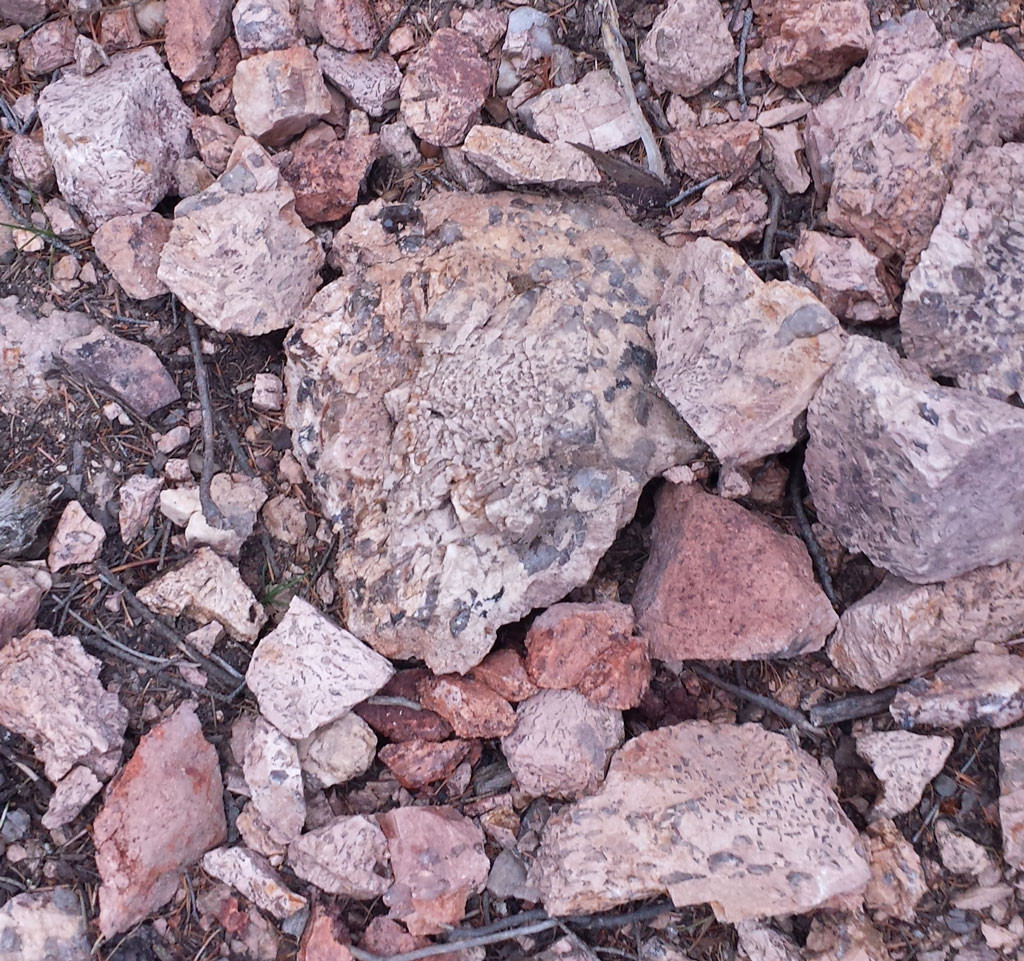 Pegmatite rock formation with large crystals